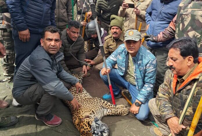 देहरादून में दहशत का पर्याय बना गुलदार पकड़ा गया