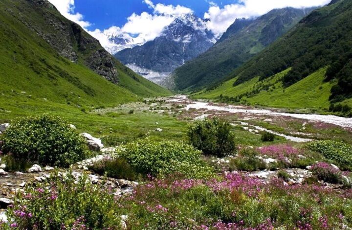 सैलानी एक जून से कर सकेंगे फूलों की घाटी का दीदार