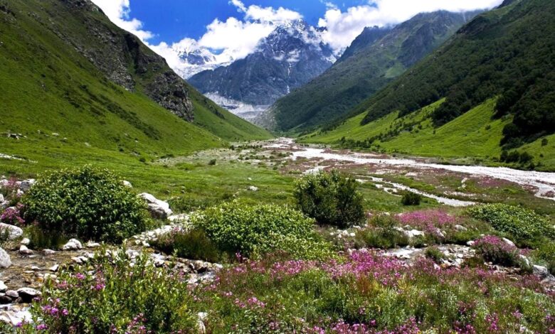 सैलानी एक जून से कर सकेंगे फूलों की घाटी का दीदार