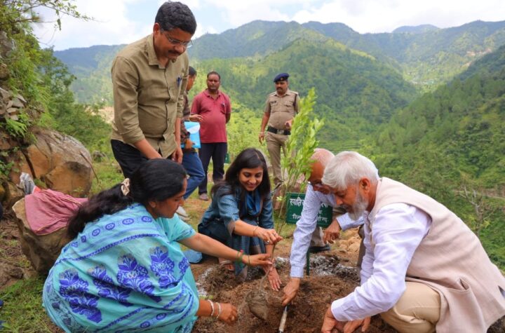 उत्पादों की ब्रांडिंग एवं मार्केटिंग के लिए उचित प्रबंधन किया जाएगा: डीएम