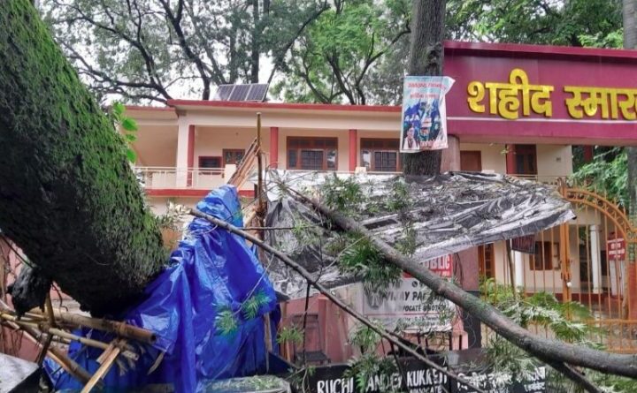देहरादून कचहरी परिसर में गिरा विशाल पेड़, स्टांप विक्रेता की दुकान हुई ध्वस्त