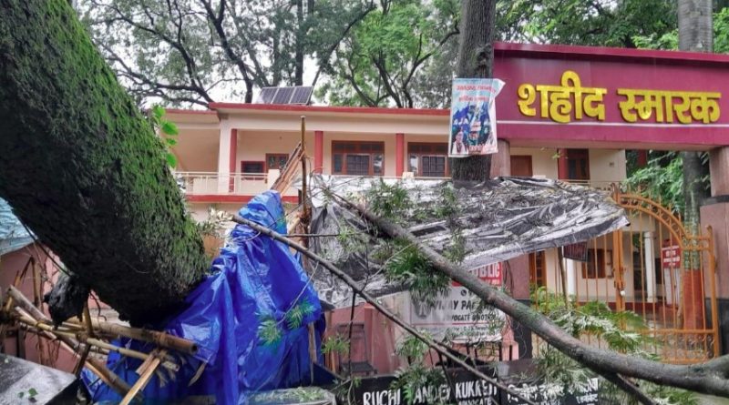 देहरादून कचहरी परिसर में गिरा विशाल पेड़, स्टांप विक्रेता की दुकान हुई ध्वस्त